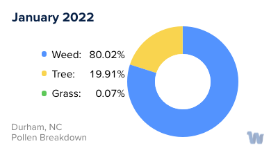 Durham, NC Monthly Pollen Breakdown