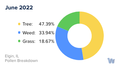 Elgin, IL Monthly Pollen Breakdown