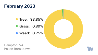 Hampton, VA Monthly Pollen Breakdown