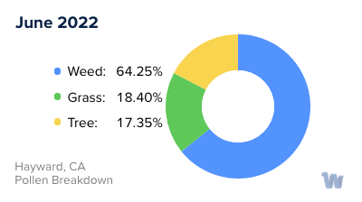 Hayward, CA Monthly Pollen Breakdown