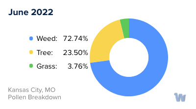 Kansas City, MO Monthly Pollen Breakdown