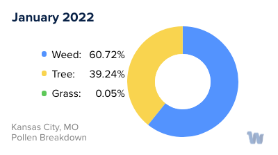 Kansas City, MO Monthly Pollen Breakdown