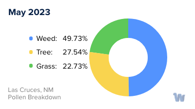 Las Cruces, NM Monthly Pollen Breakdown