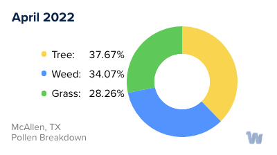 McAllen, TX Monthly Pollen Breakdown