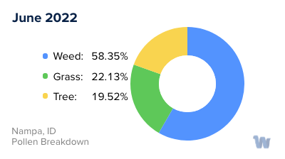 Nampa, ID Monthly Pollen Breakdown