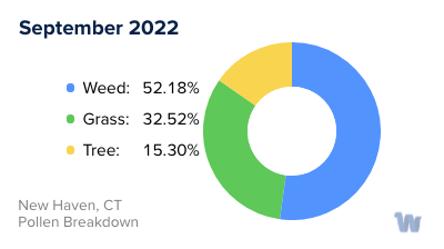 New Haven, CT Monthly Pollen Breakdown