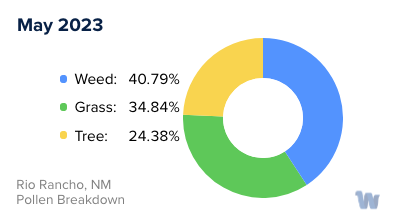 Rio Rancho, NM Monthly Pollen Breakdown