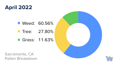 Sacramento, CA Monthly Pollen Breakdown