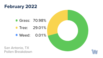 San Antonio, TX Monthly Pollen Breakdown