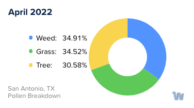 San Antonio, TX Monthly Pollen Breakdown