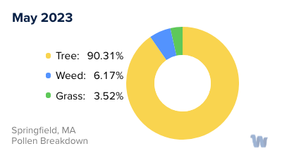 Springfield, MA Monthly Pollen Breakdown