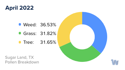 Sugar Land, TX Monthly Pollen Breakdown