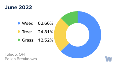 Toledo, OH Monthly Pollen Breakdown