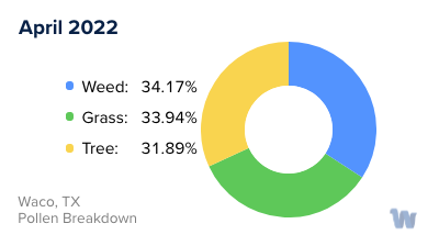 Waco, TX Monthly Pollen Breakdown